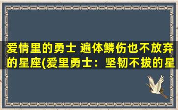 爱情里的勇士 遍体鳞伤也不放弃的星座(爱里勇士：坚韧不拔的星座TA们不畏遍体鳞伤)